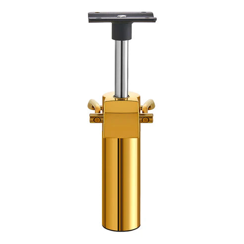 Hydraulic Pump for Salon Chair - Gold
