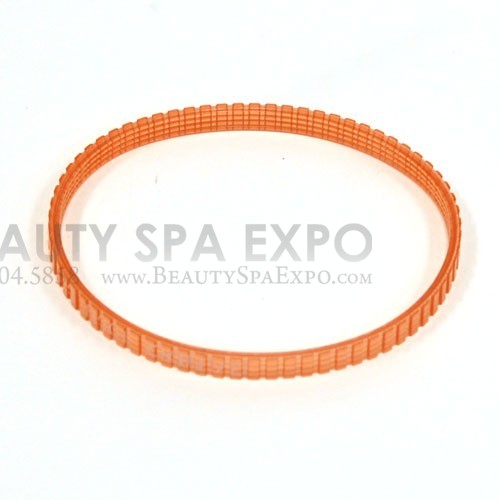 J&A - DC Motor Belt Kneading for Cleo